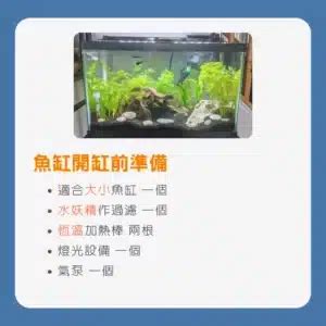 魚缸形狀|【魚缸尺寸】【魚缸指南】新手必看！挑選魚缸尺寸和注意事項